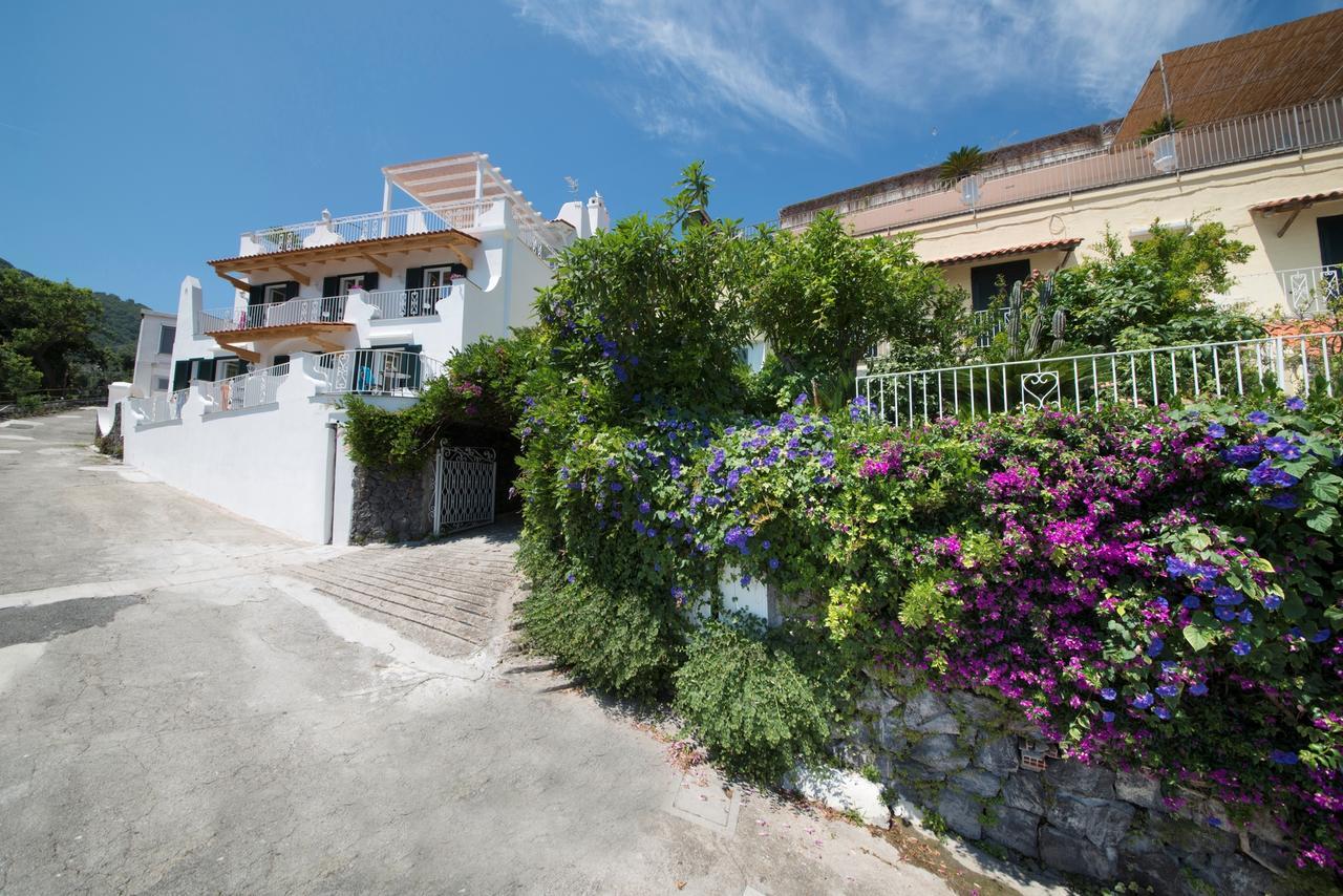 Hotel Giardino Delle Ninfe E La Fenice Ischia Ngoại thất bức ảnh